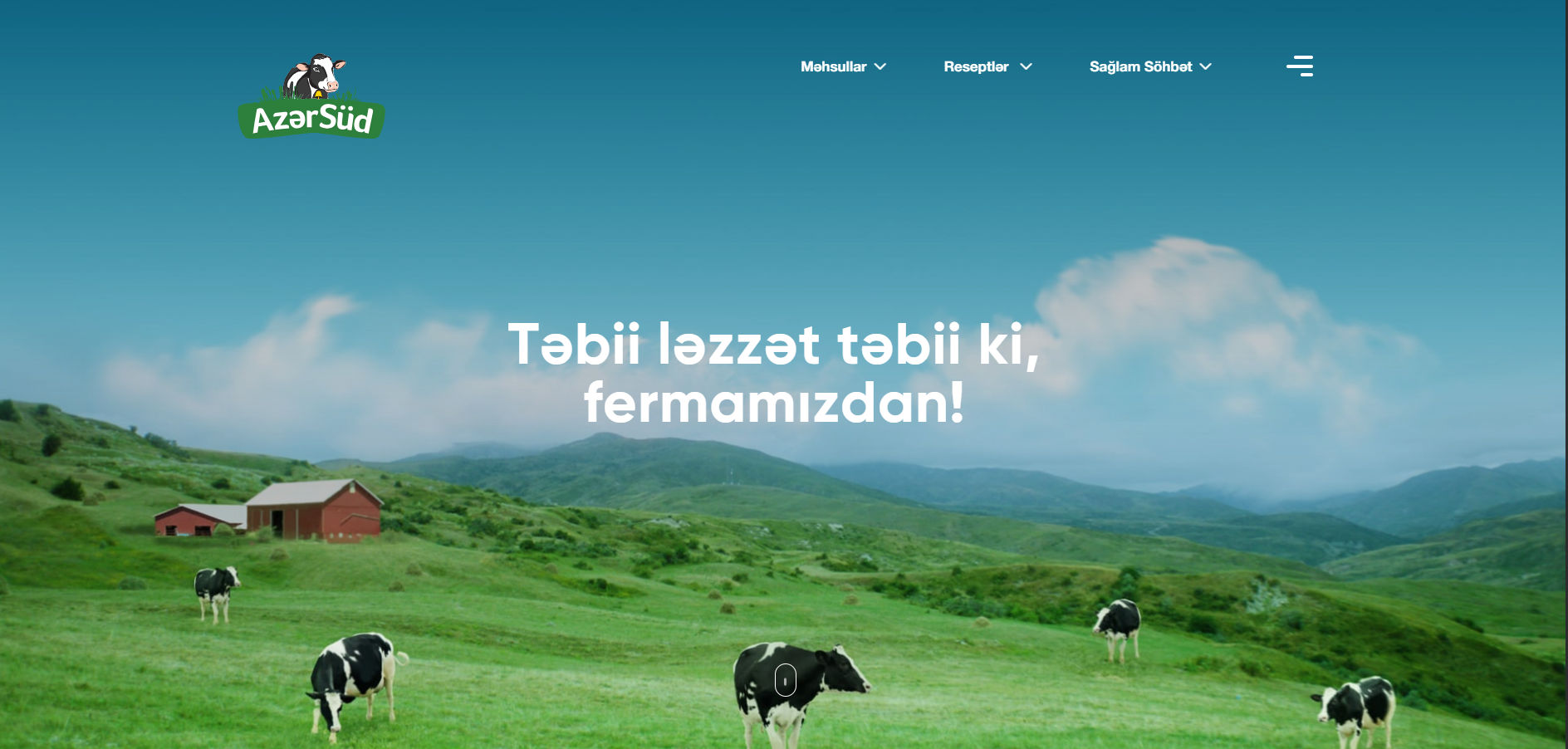 Screenshot of AzerSüd Web Site, a Nuxt.js project